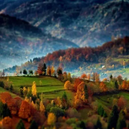 Farm stay Casa Nemes Valeni (Maramures)