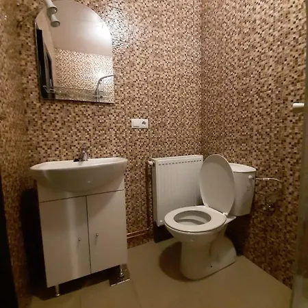 Casa Nemes Farm stay Valeni (Maramures)